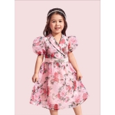 pamberston Lycra Fit And Flare Dress For Girls ( Pack of 1 , Pink ) - None