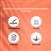 Himalaya Damage Repair Protein Conditioner, Repairs Dry & Damaged Hair, With The Bean Sprouts & Yarrow, For Women & Men, 100Ml