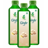 Ginger sugar free Juice Pack of 3 - 1000ml