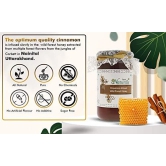 Farm Naturelle-Cinnamon Infused Wild Forest (Jungle) Honey/100% Pure/Raw/Natural/Un-processed/Un-heated/Lab Tested 2.75 Kg -Pet Bottle