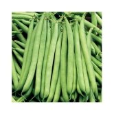 French Beans Seeds (pack of 50)