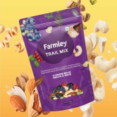 Farmley Trail Mix Dry Fruits 200g | Dried Berry Mix 200g | Protein Rich Seed Mix 200g | Total 600g | Mix Dry Fruit Snack Combo