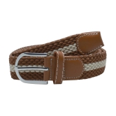 Loopa Brown Nylon Casual Belt Pack of 1 - None