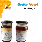 COMBO - FENNEL HONEY + SESAME HONEY | 500 GRAM EACH