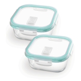 Treo By Milton Hi Borosilicate Clip Fresh Square Container, Set of 2, 320 ml Each, Transparent