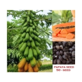 Papaya, Papita Honey Dew Fruit | Pack of 50 Seeds