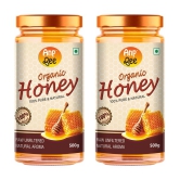 ANP BEE Honey Raw Organic Honey 500 g Pack of 2