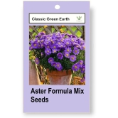 CLASSIC GREEN EARTH - Flower Seeds ( Aster Formula Mix 50 Seeds )