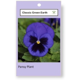 CLASSIC GREEN EARTH - Pansy Flower ( 60 Seeds )