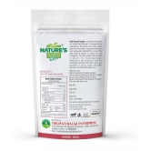 Nature''s Gift - 100 gm Red Onion Powder (Pack of 1)