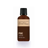 Pine Essential Oil-20 ml / Essential Oil