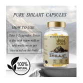 VEDA GOLD SHILAJIT CAPSULES FOR MEN & WOMEN / PURE HIMALAYAN SHILAJIT IN 30 CAPSULE FORM 100% PURE