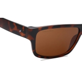 Brown Square Sunglasses for Unisex