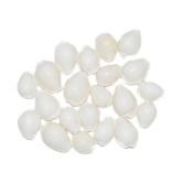 Aksaya Marketing Marble White Kodi Shell - Pack of 21