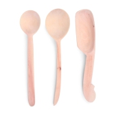 Curry Spoons set