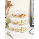 Borosilicate Food Containers (Pack of 3 - 370ml, 640ml & 1040ml)