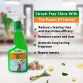 Herbal Strategi Glass Cleaner 2L