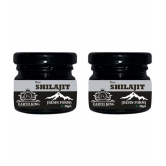 EARTH KING Pure Ayurvedic Shilajit/Shilajit Resin (Semi Liquid) - 40Gm (Pack of 2)