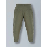 PLUM TREE Green Cotton Boys Trackpant ( Pack of 1 ) - None