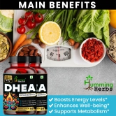 Humming Herbs DHEA 10mg Supplement - Micronized for Enhanced Absorption - Boosts Energy, Supports Metabolism & Promotes Well-being - Pack of 2