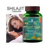 Shilajit Gold | Premium Vitality Ayurvedic Supplement for Men 60 CAPSULES