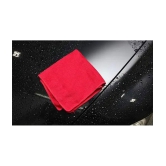 INGENS COMBO of Microfiber Cleaning Cloths,40x40cms 250GSM RED-Colour! Highly Absorbent  and 7 function water spray nozzle