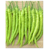 High yielding chilli F1 hybrid Green Chilli | Pack of 50 seeds