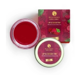 Regal Essence maroon Matte Lip Balm ( Pack of 1 )