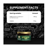 Himalayan Organics Pure Shilajit Resin to Boost Performance,Power, Stamina, Endurance, Strength With Fulvic Acid & 85+ Trace Minerals Complex for Energy,Maximum Potency I - 25g