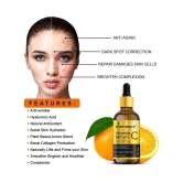 Vitamin C Serum - Skin Brightening, Anti-Aging, Skin Repair Face Serum - Pack of 3