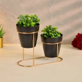 Two Pot Desk Planter