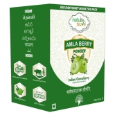 Nature Sure Amla Powder 150 gm