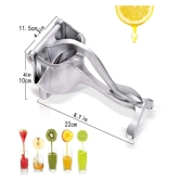 VALLEY GREEN Fruit Hand Juicer Silver Manual Juicer - Silver