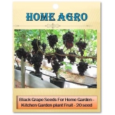 homeagro - Fruit Seeds ( 20 seeds )