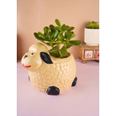 Sheep Planter