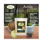 Biotic Neem, Hibiscus and Amla Powder - 300 gms(100 gms Each) Hair Mask 300 g Pack of 3