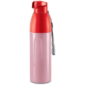 Milton Kool Convex 700 Insulated Inner Pet Water Bottle, 560 ml, Light Red | Easy To Carry | Leak Proof | School | Office | Gym | Hiking | Treking | Travel Bottle - Red