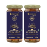 Sanjeevani  100% Natural Jamun Honey – 300g (Pack Of 2), Jamun Sahad, Pure Natural Honey Pack of 2