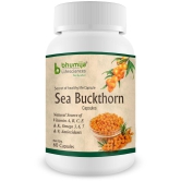 Bhumija Lifesciences Sea Buckthorn Berry Extract 500 MG Capsules