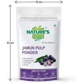 Natures Gift Jamun Powder Smoothie 400 g