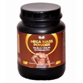 Rikhi Mega Mass Ayurvedic Powder 300 gm Pack Of 1