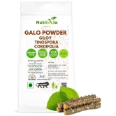 Nutrixia Food Galo powder Giloy powder  Powder 250 gm