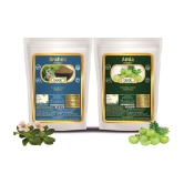 Biotic Brahmi and Amla Powder (100 gm each) 200 gm