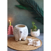 Ele, Cat & Kitty Planters