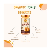 ANP BEE Honey Raw Organic Honey 500 g