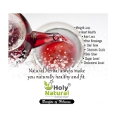 Holy Natural Hibiscus Tea Loose Leaf 100 gm