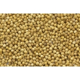 Vattam Coriander Seeds - Whole, 500 Gm