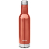 Milton Themosteel Pride 600 Bottle for (Hot & Cold) Beverage - Red - Rose Gold