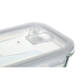 Femora Borosilicate Glass Container Camel Black Lunch Box- Set of 2 - (Rectangle +Square)