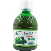 Farm Naturelle ? 100 % Pure Herbal Giloy Juice Enhances Body Immunity 400Ml x 2 and Infused Honey 55g x 2